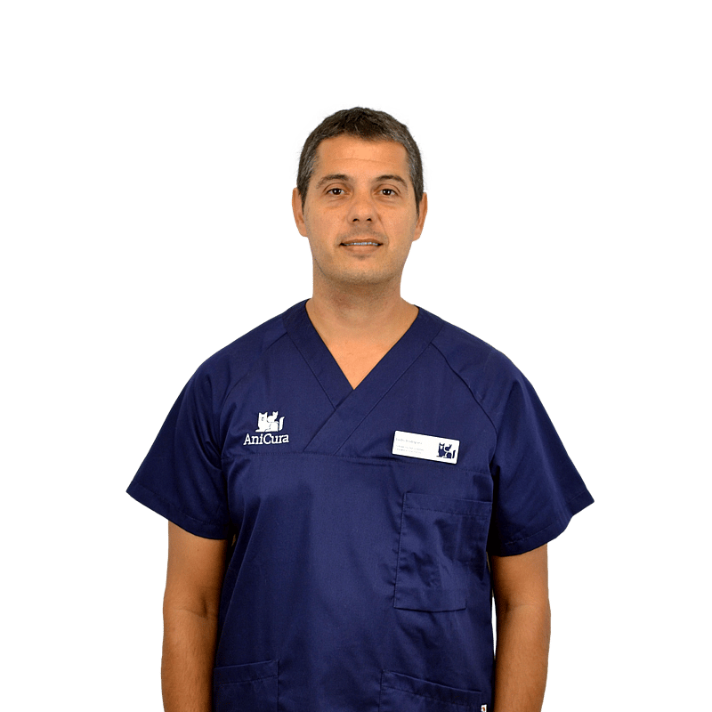 Foto de Isidro Rodríguez, Veterinario
