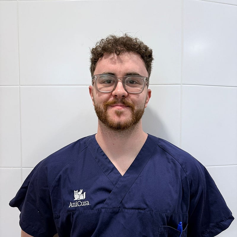 Foto de Daniel Ruiz Ribó, Veterinario