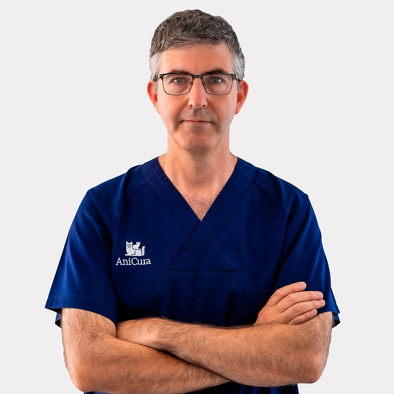 Foto de Xavier Soriano, Veterinari