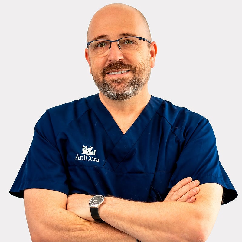 Foto de Vincenç Morell, Veterinari