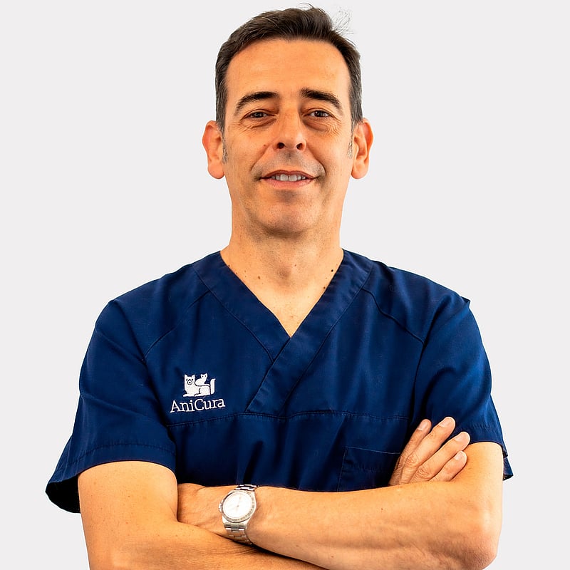 Foto de Jordi Giné, Director General (ceo) / Veterinari