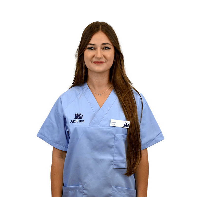 Foto de Clara Padrós Gimeno, Recepción