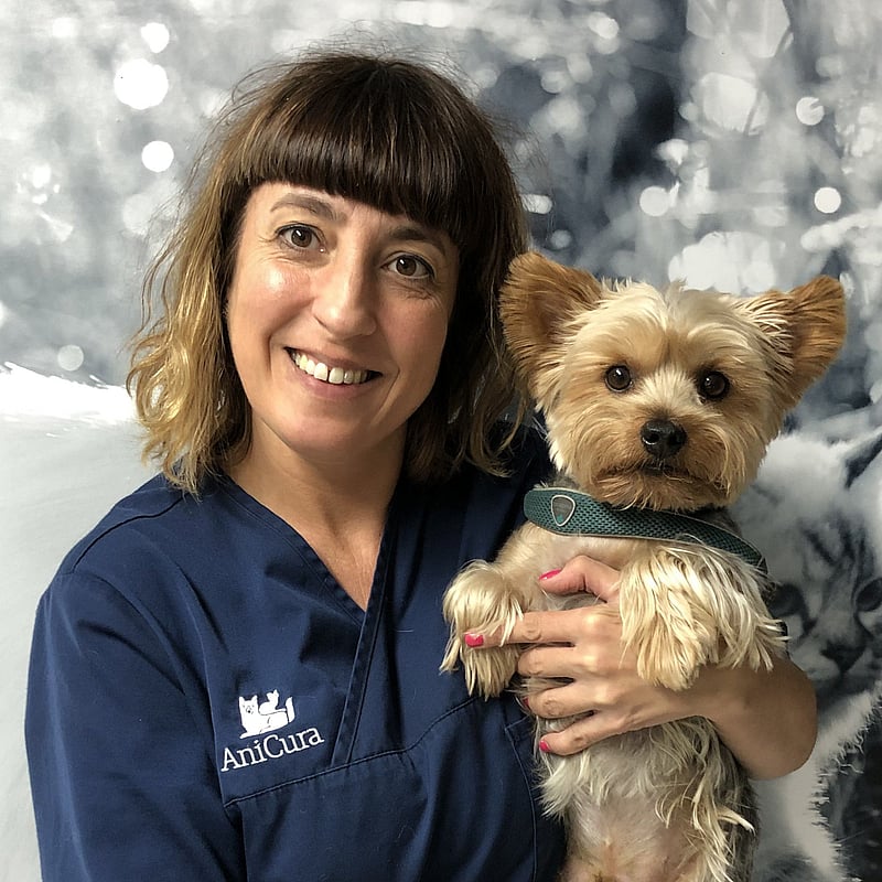 Foto de Vanesa Illana, Recepción