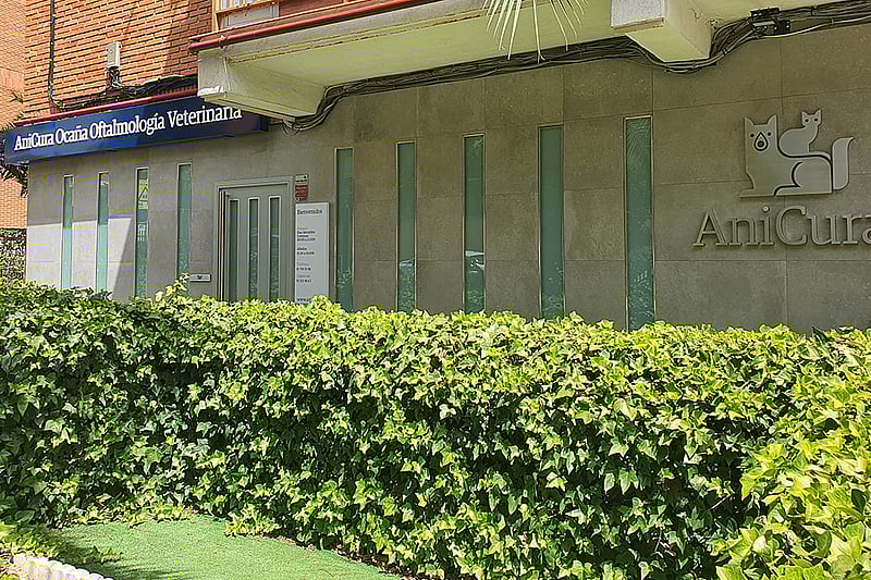 Un edificio con un balcón y un seto.