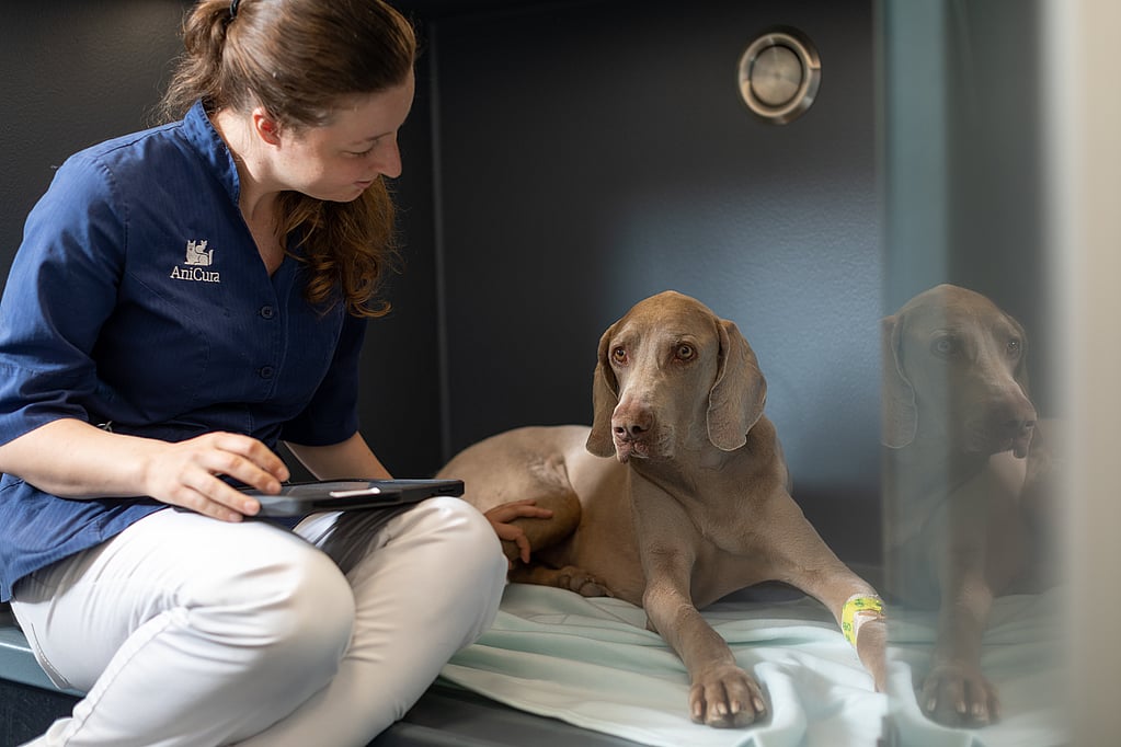 Una persona sentada en una cama con un perro.