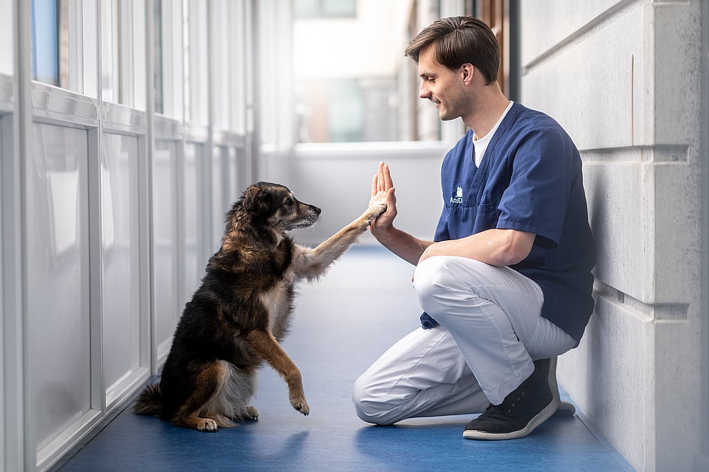 Una persona y un perro chocan los cinco.