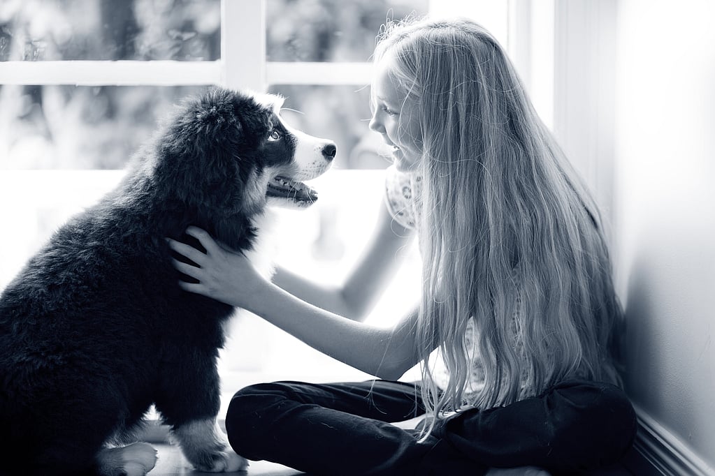 Un niño acariciando a un perro.