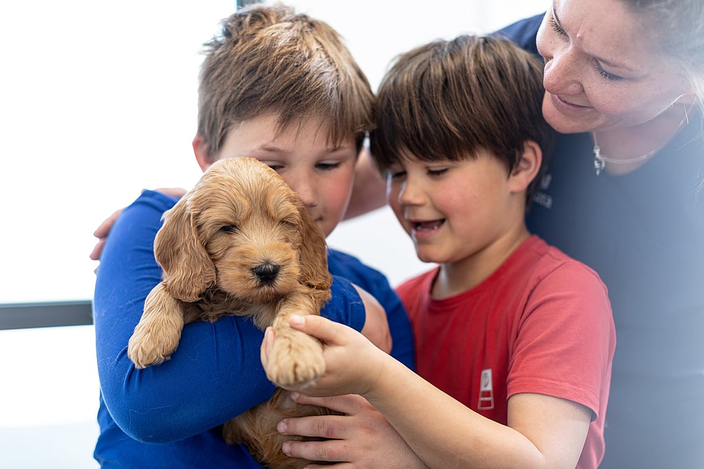 Un grupo de niños sosteniendo un cachorro.