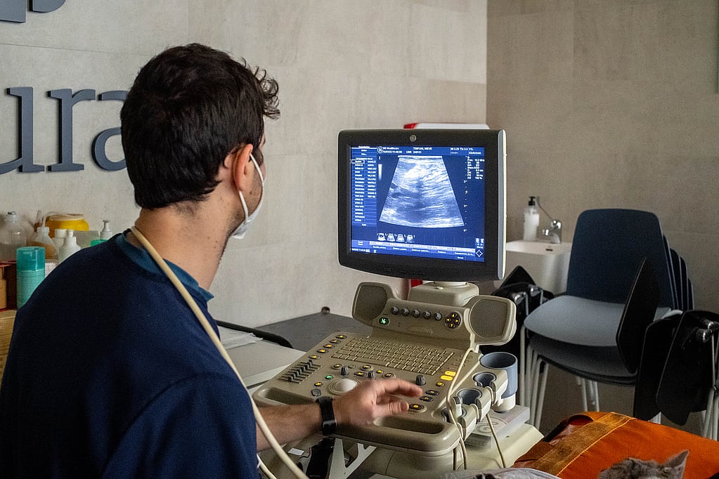 Una persona usando una máquina.