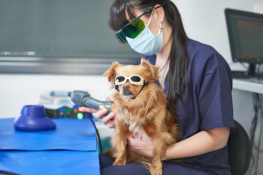 Una persona con gafas y una máscara sosteniendo a un perro.