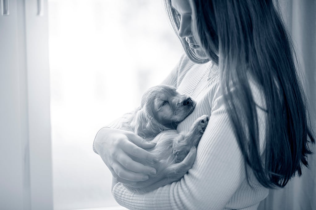 Una persona sosteniendo a un perro.
