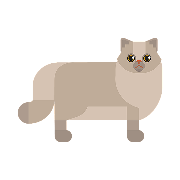 Un gato con cara triste.