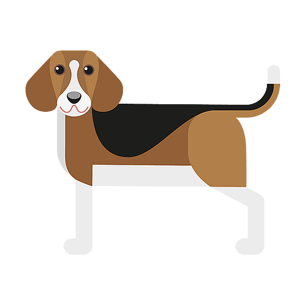 Un perro con fondo negro.