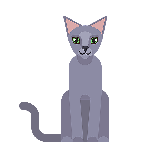 Un gato sentado sobre un fondo negro.