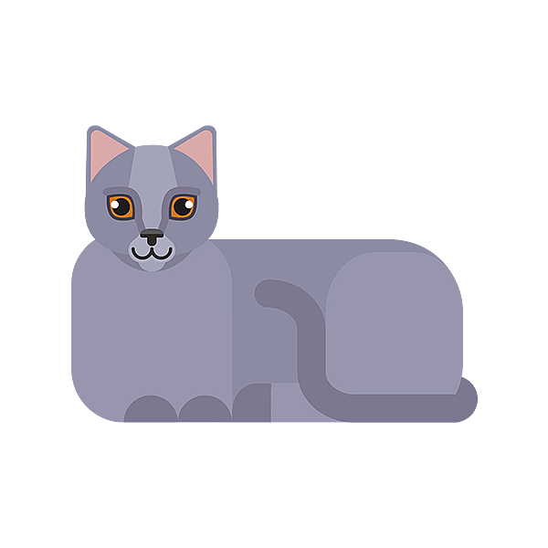 Un gato acostado sobre un fondo negro.