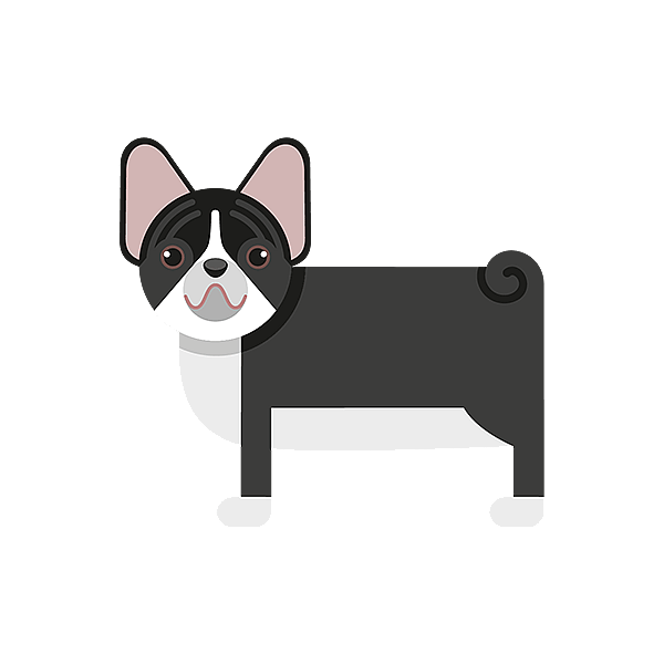 Un perro blanco y negro.