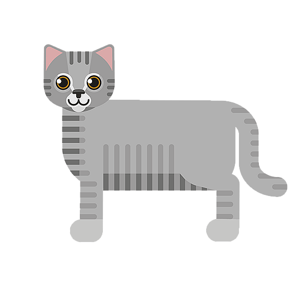 Un gato gris con fondo negro.