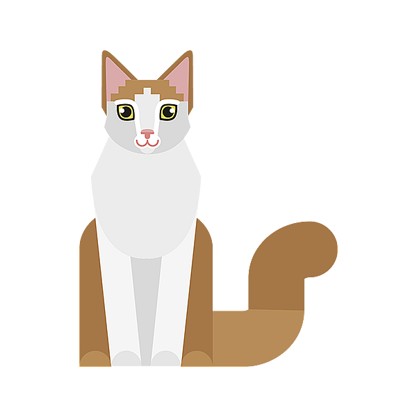Un gato sentado sobre un fondo negro.