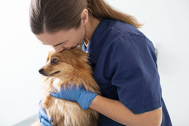 Una persona con bata azul besando a un perro.