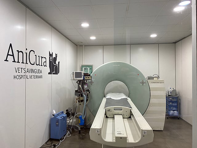 Una habitación con una máquina.