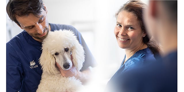 Equipo AniCura Aitana Hospital Veterinario