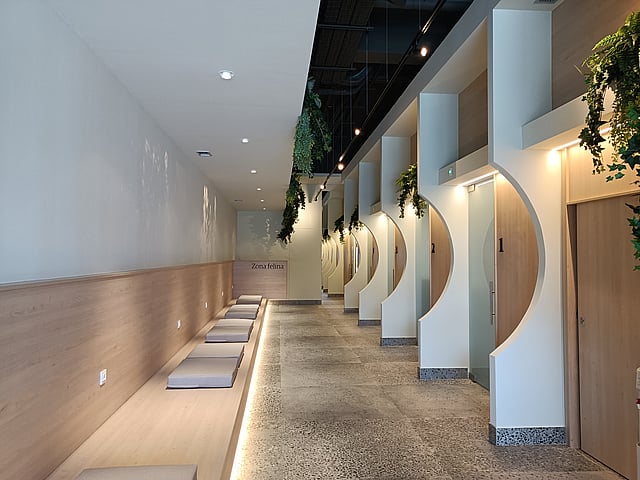 Una hilera de puertas blancas con paredes blancas.