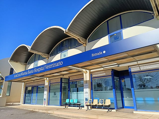 A person holding a dog.