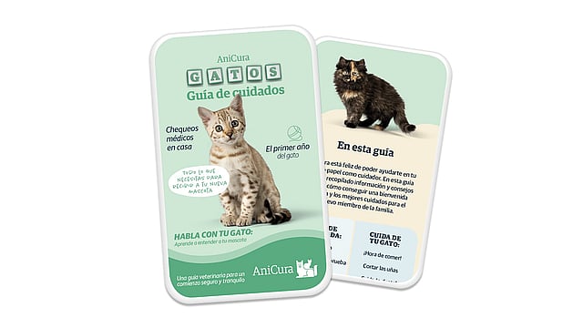 Un par de tarjetas con imágenes de gatos.