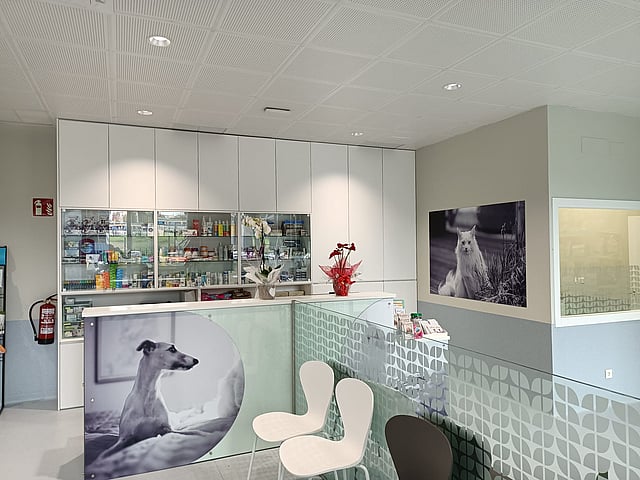 Una habitación con mostrador y sillas.