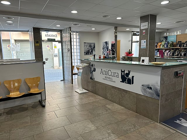 Un mostrador de recepción en un edificio.