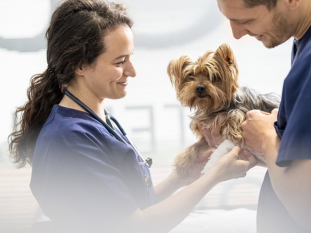 Una persona y una persona que sostiene un perro.