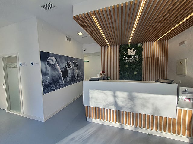 Un mostrador de recepción en una habitación.