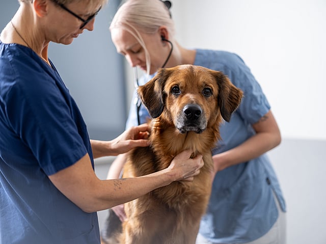 Un edificio con un letrero en la fachada.