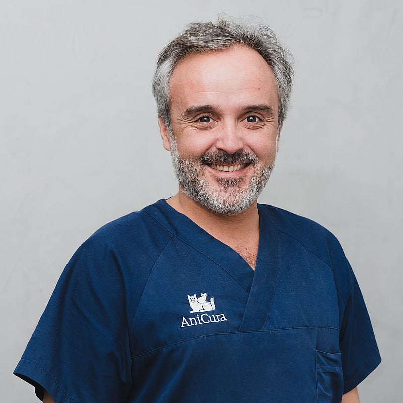 Foto de Carlos Gálvez Arranz, Gerente Y Veterinario Senior