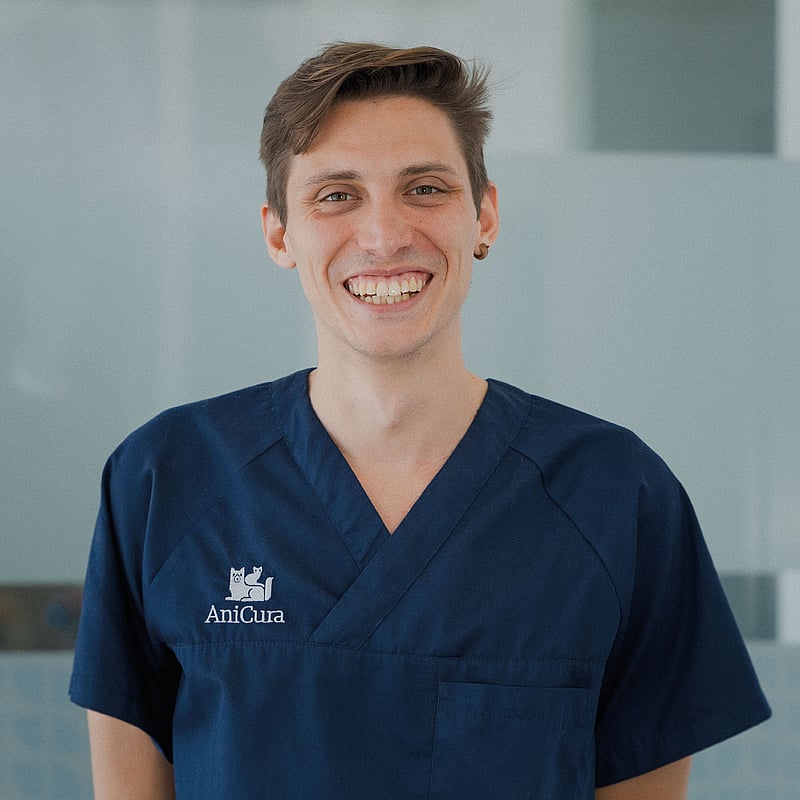 Foto de Carlos Gray Jimena, Veterinario Del Servicio De Oncología