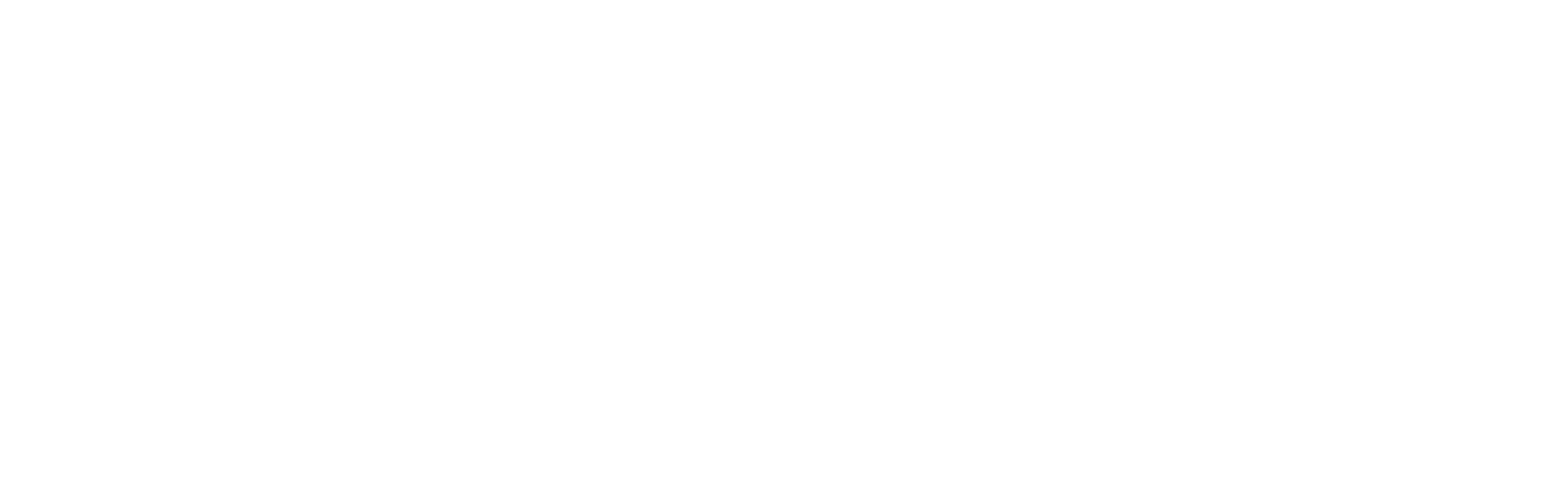 AniCura Vet's Avinguda Hospital Veterinari logo