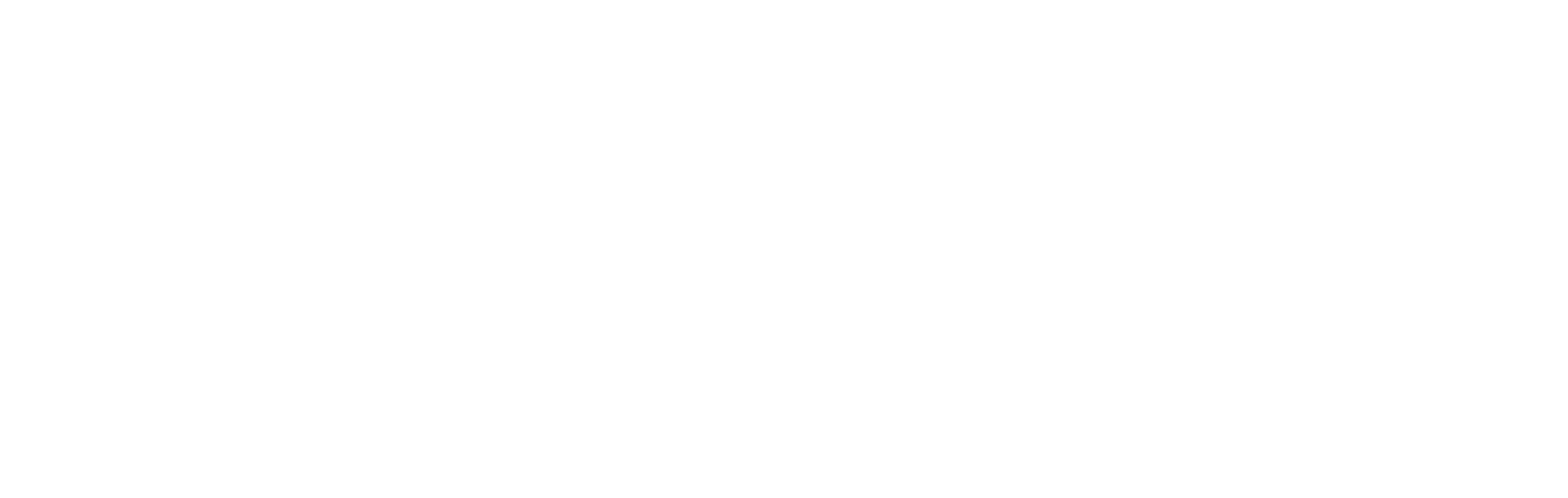 AniCura Vet's Avinguda Hospital Veterinario logo