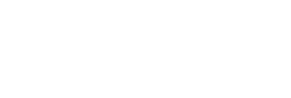 AniCura Constitución Hospital Veterinario logo