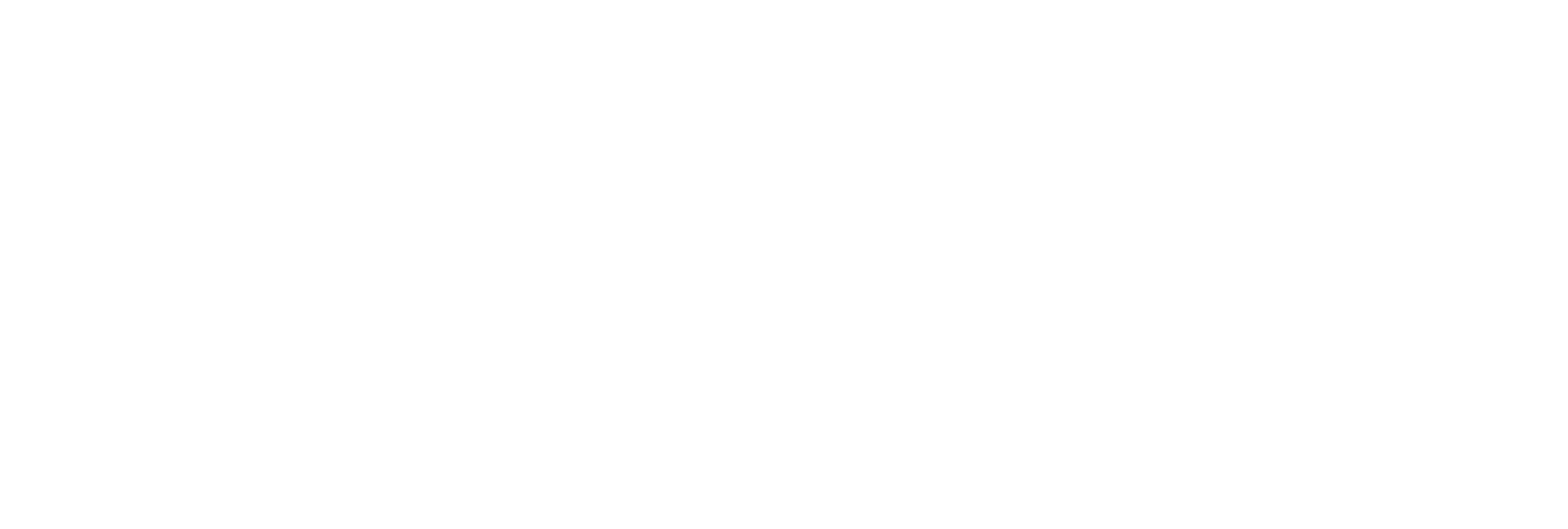 AniCura Mediterrani Hospital Veterinari logo