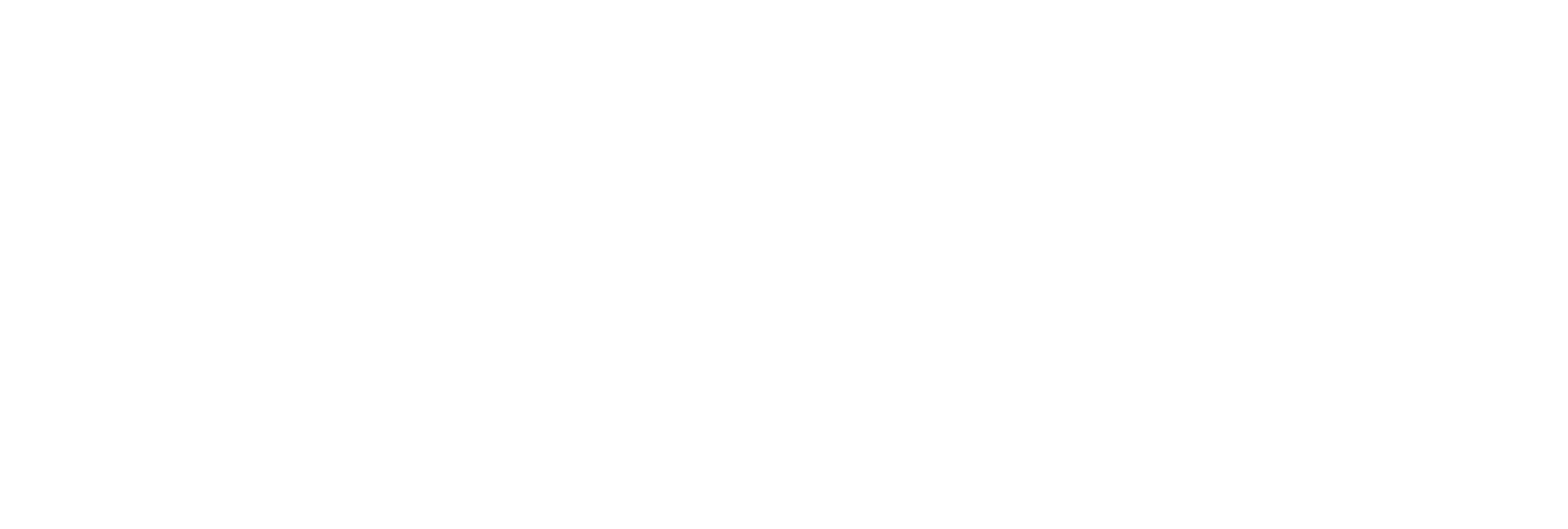 AniCura Canis i Felis Hospital Veterinari logo