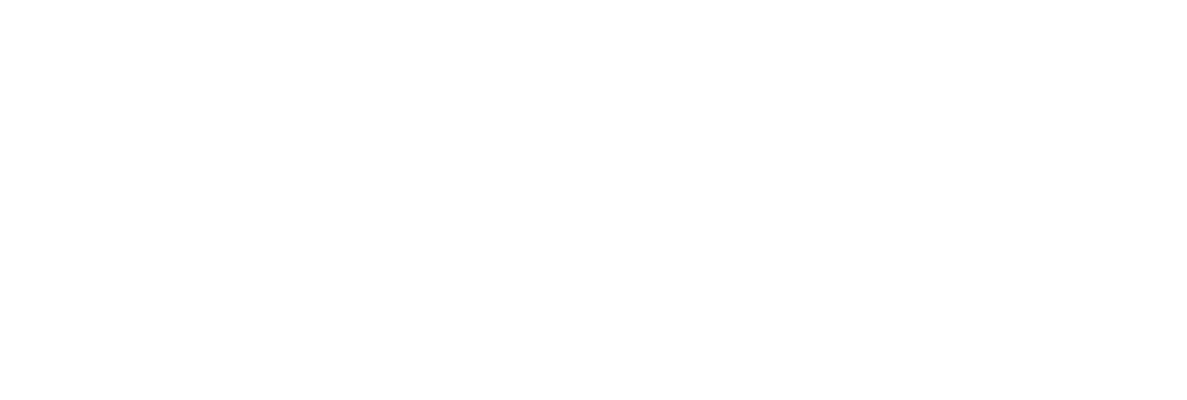 AniCura ImaVet Referencia Veterinaria logo