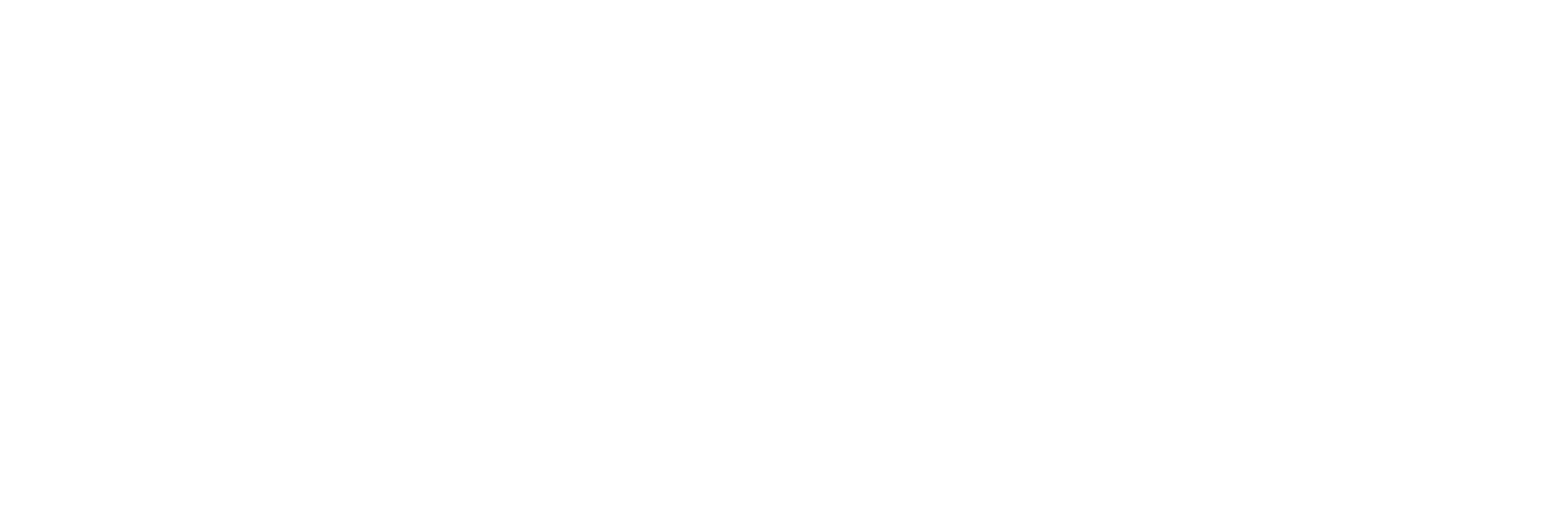 AniCura Benipeixcar Hospital Veterinario logo