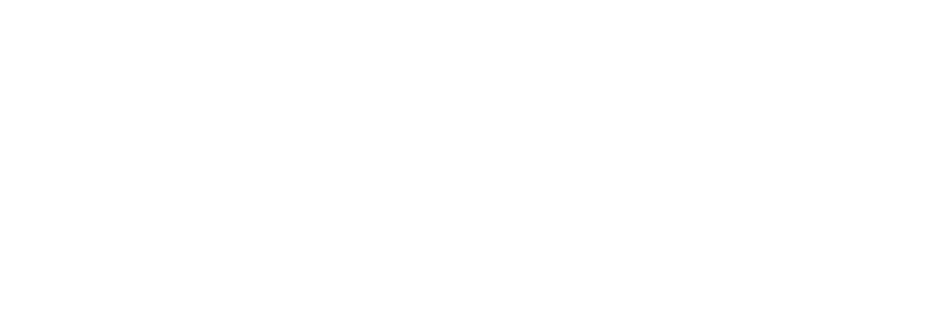 AniCura Clinivet Centro veterinario logo