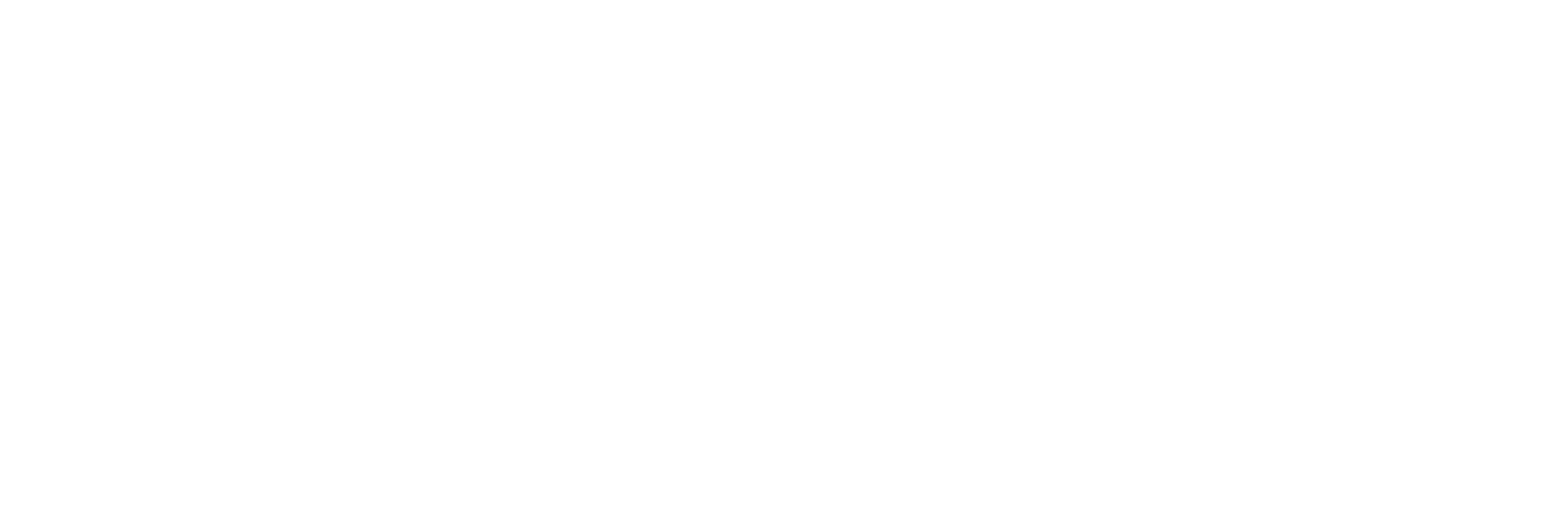 AniCura Doctor Castelo Centro Veterinario logo